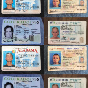 Real Driving Licenses With Selfie/SSN
